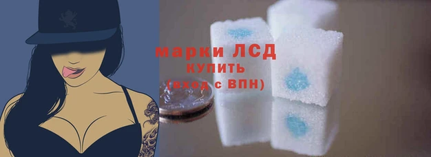 тгк Осташков