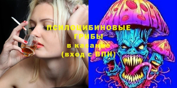 тгк Осташков