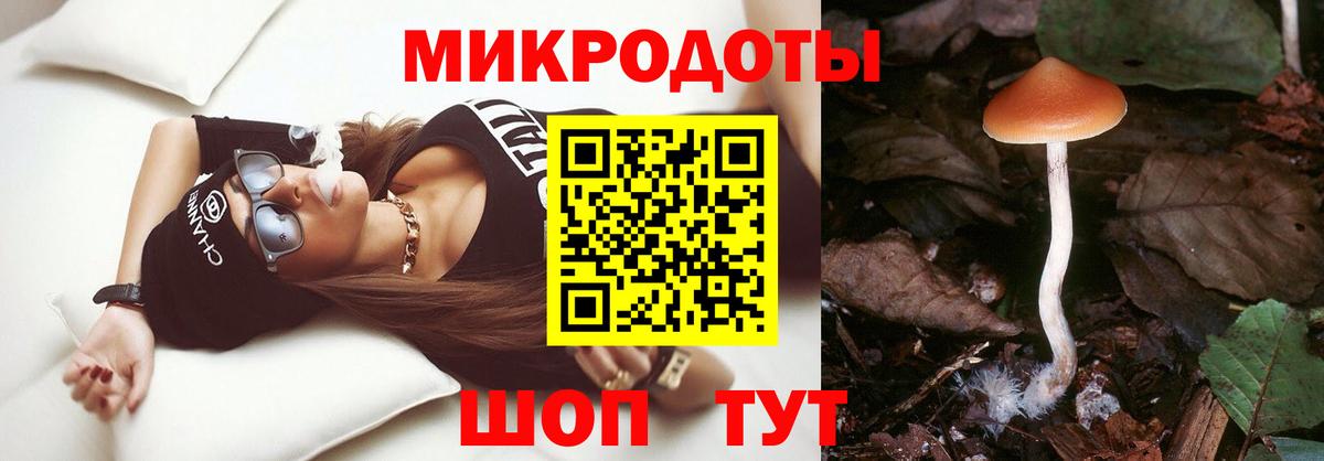 Псилоцибиновые грибы мухоморы Петрозаводск